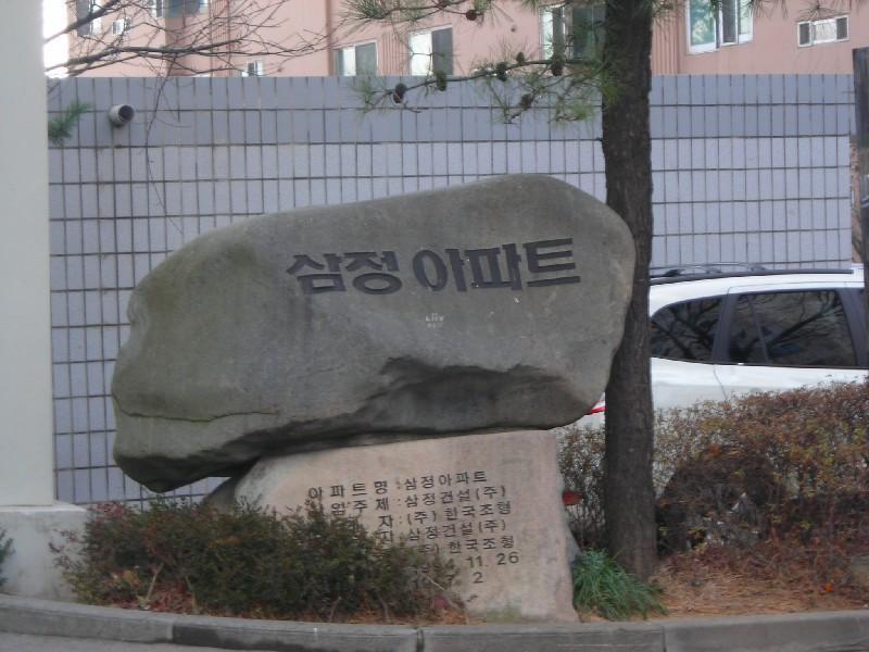 DSCN8652