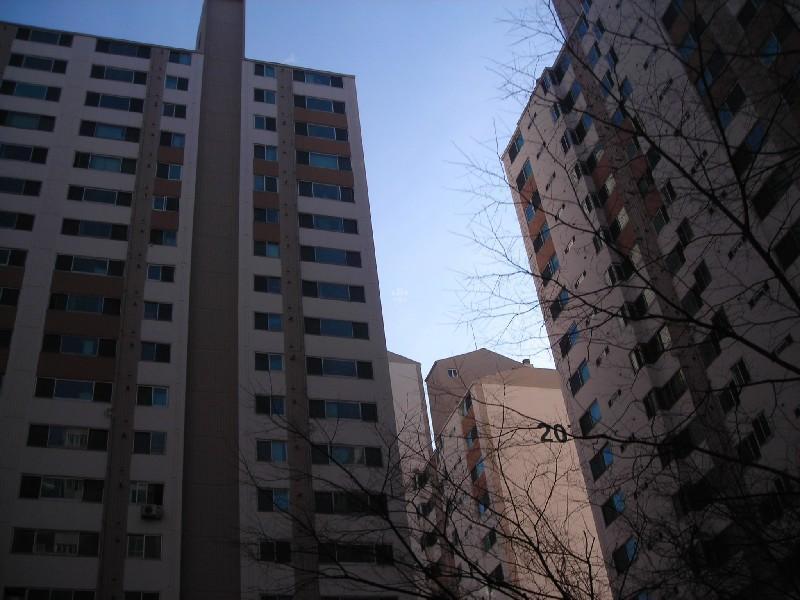 DSCN8662