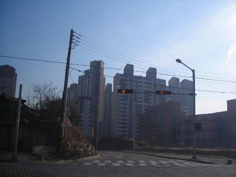DSCN8647
