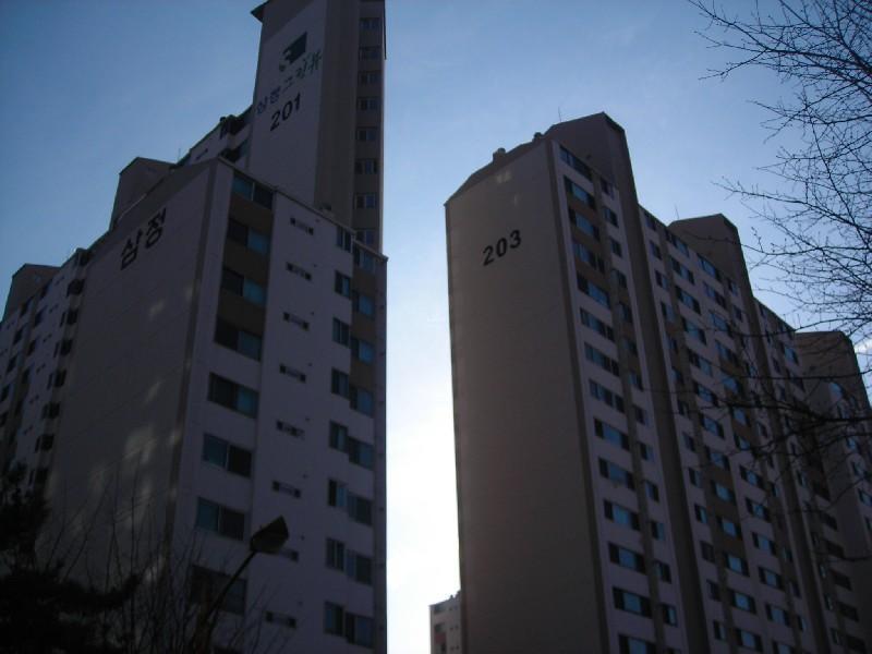 DSCN8649