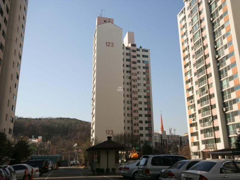 123동