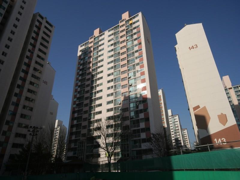 144동