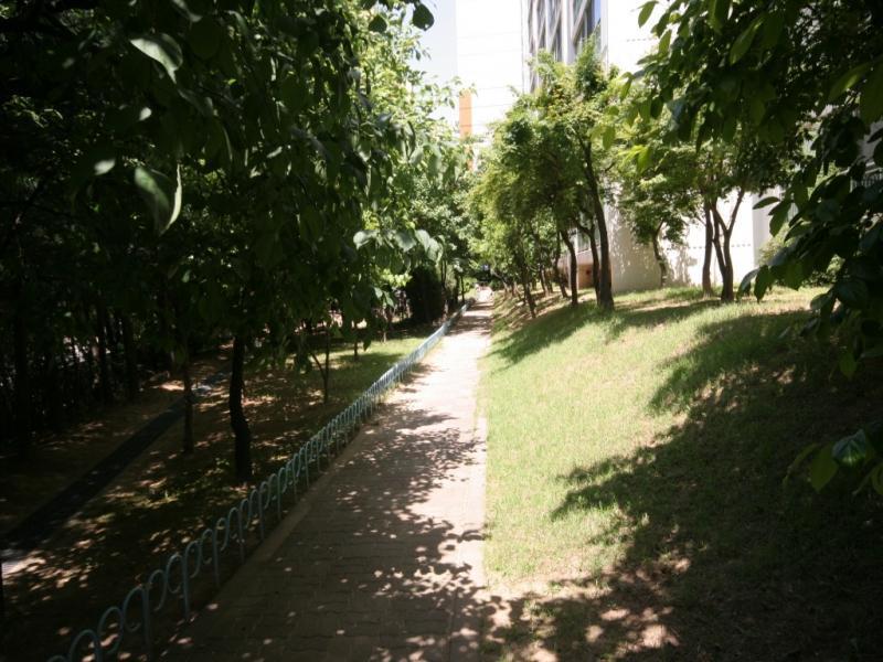 산책로