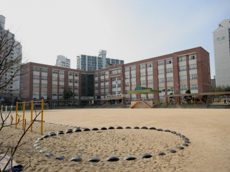 은행초교