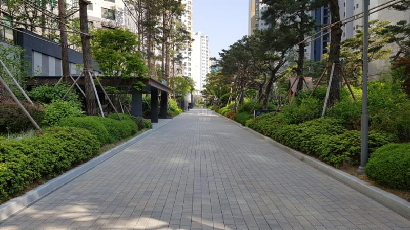 단지 내 보행로 모습이에요