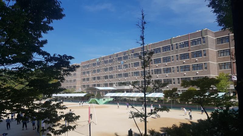 단지 주변으로 배정학교인 영덕초등학교가 있습니다