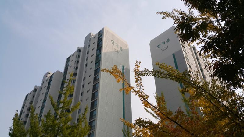 내부에서 바라본 단지 전경입니다