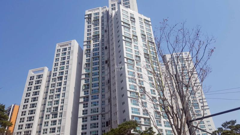 래미안대치팰리스의 깔끔하고 세련된 전경 사진입니다