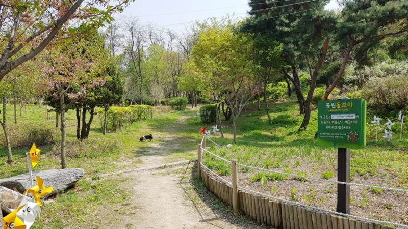 단지 인근에 위치한 로이킴숲 입니다