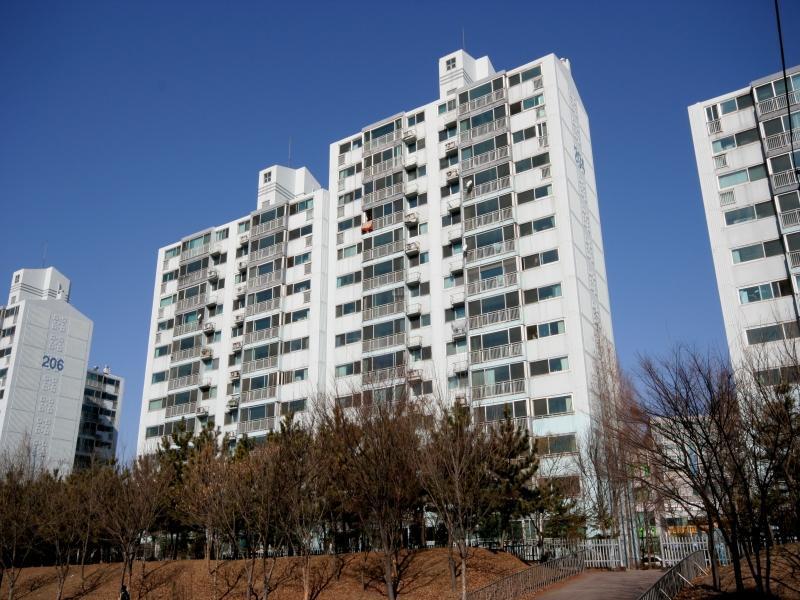 204동