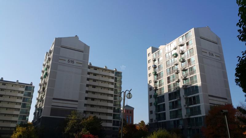 푸른마을5단지 514동, 515동 단지전경 모습이에요