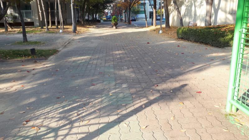 차가 다니지 않는 안전한 보행로에요