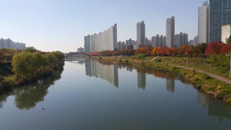 단지 인근에 있는 안산천변 입니다