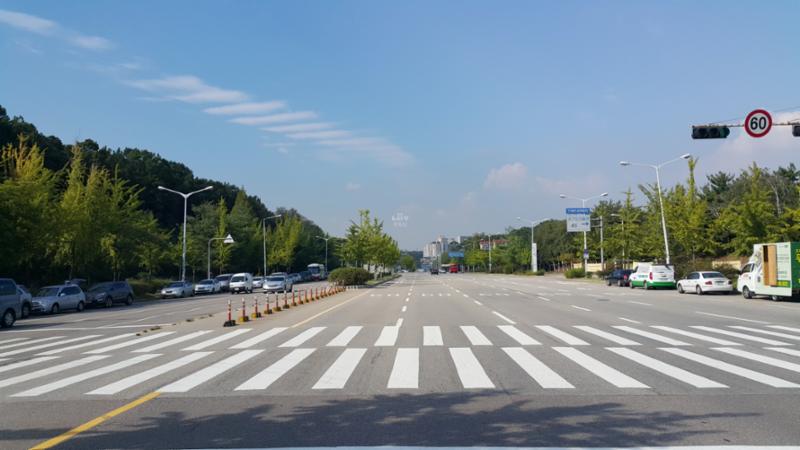 단지 주변에 위치한 동산로 도로입니다