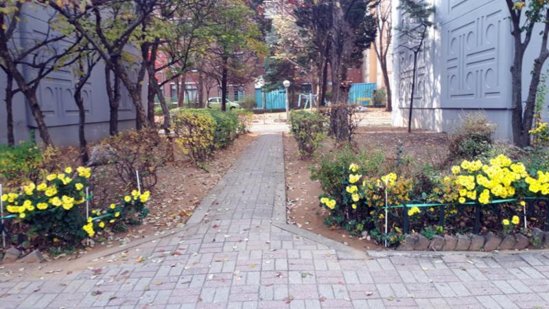 경사진 곳 없이 평평한 보행로를 갖추고 있어요