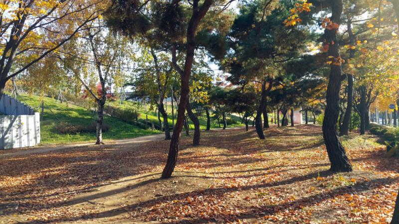 단지 바로 옆에 붙어있는 어울림공원입니다