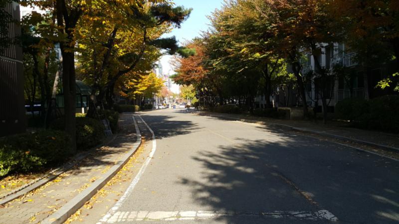 단지와 어울리는 단지내도로 입니다