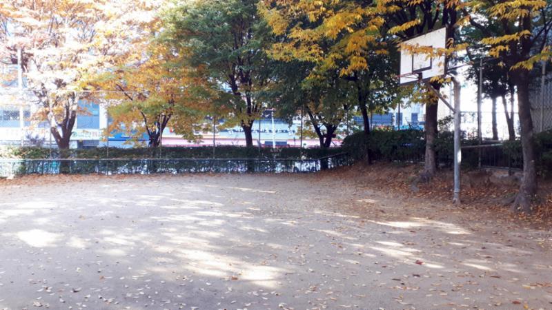 단지 내 입주민들의 건강을 생각한 체육시설 농구장, 축구장 등의 다양한 운동을 즐길 수 있는 체육시설이 마련되어 있어요