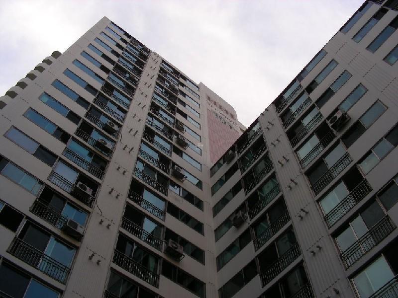 DSCN6104