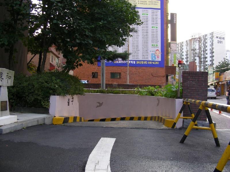 DSCN6102