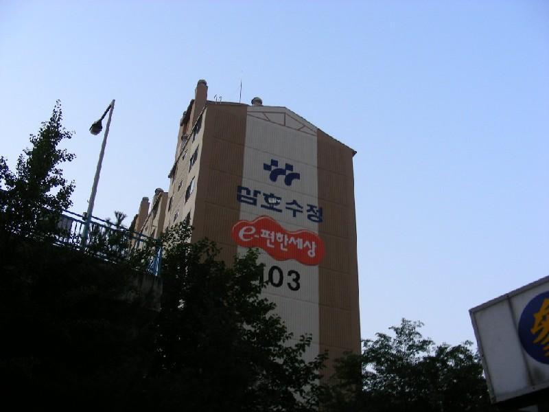 DSCN6381