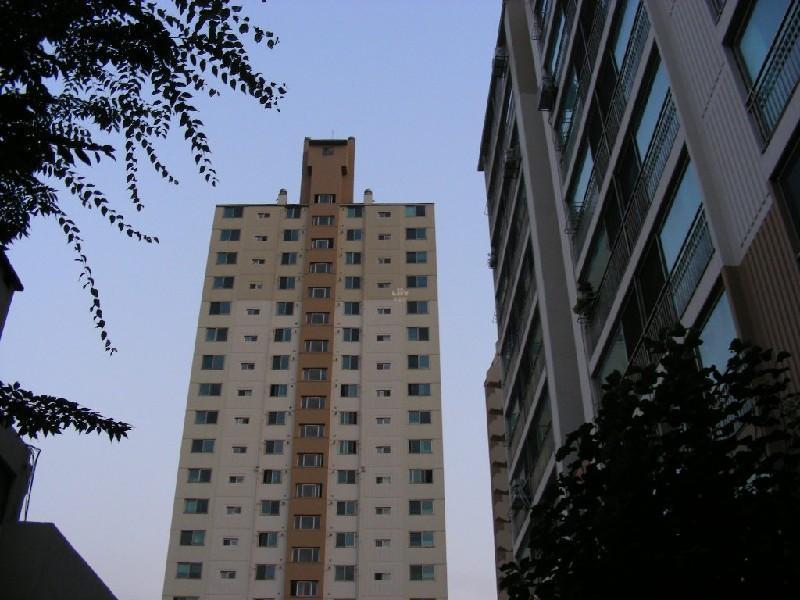 DSCN6386