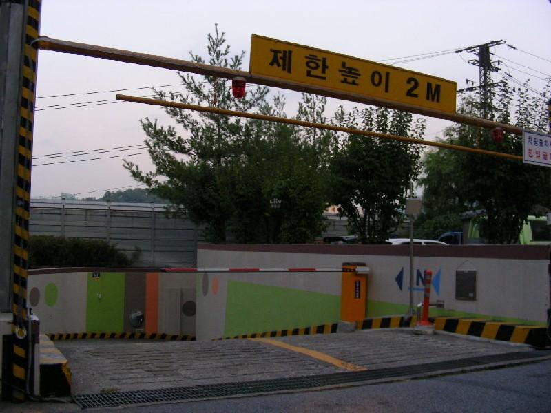 DSCN6388