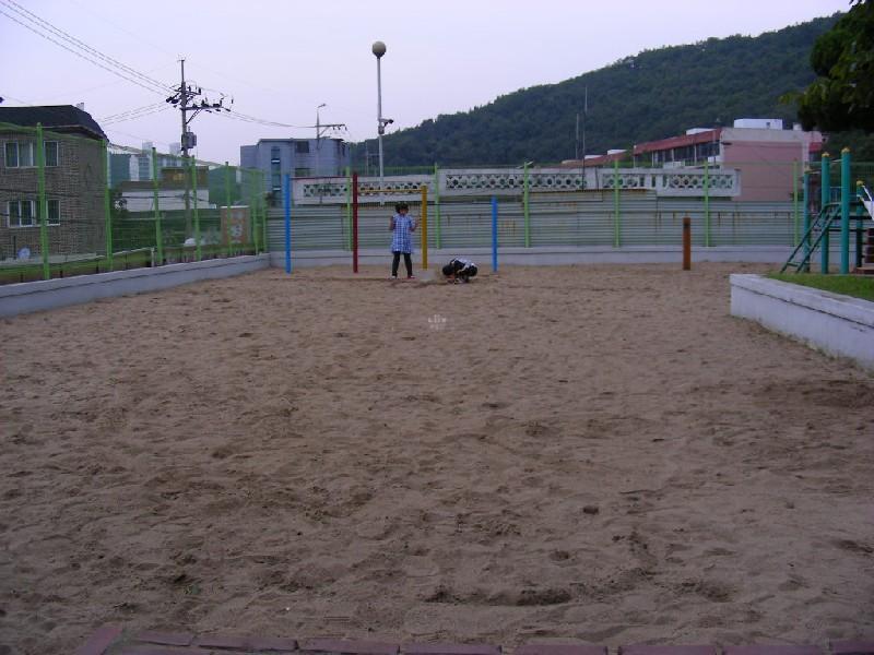 DSCN6690