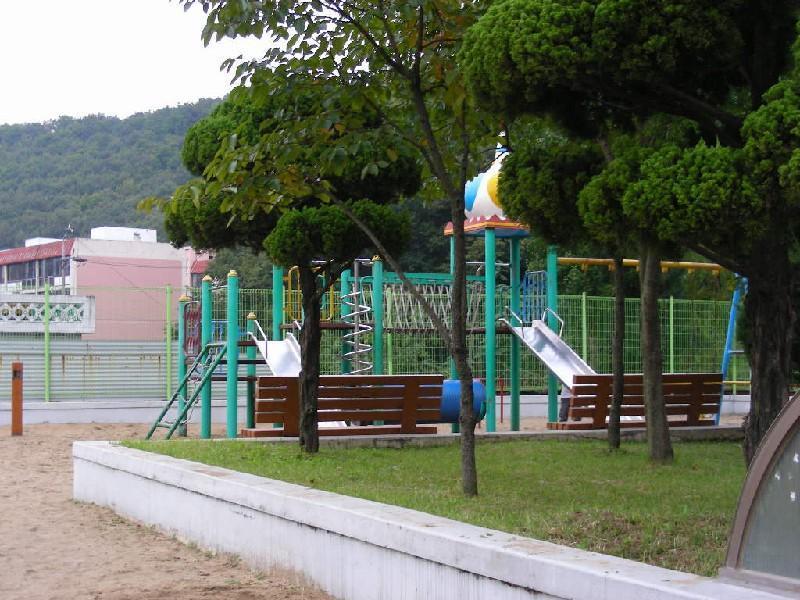 DSCN6691