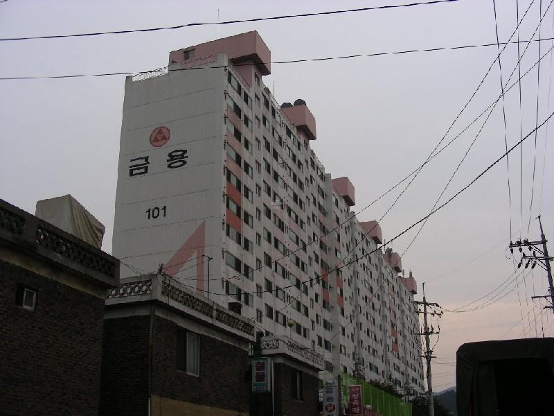 DSCN6686