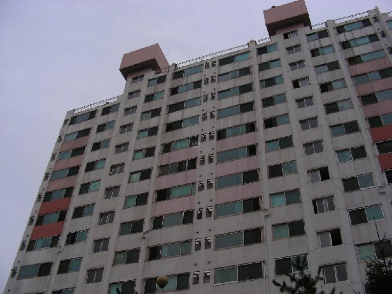 DSCN6687