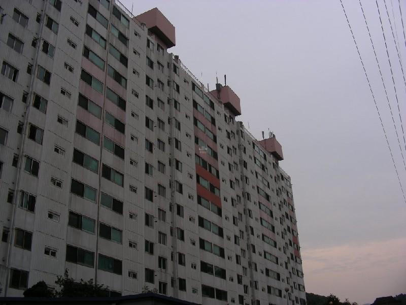 DSCN6688