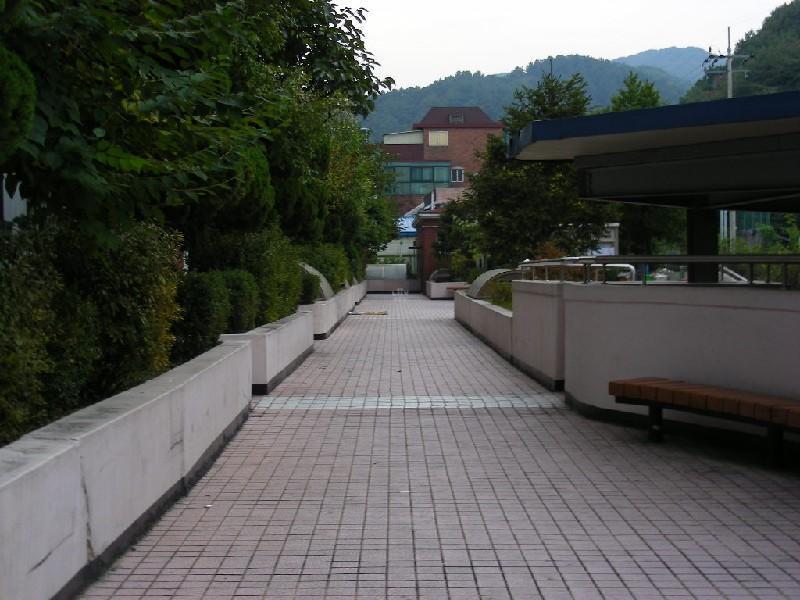 DSCN6694
