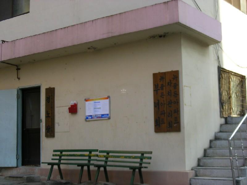 DSCN6060