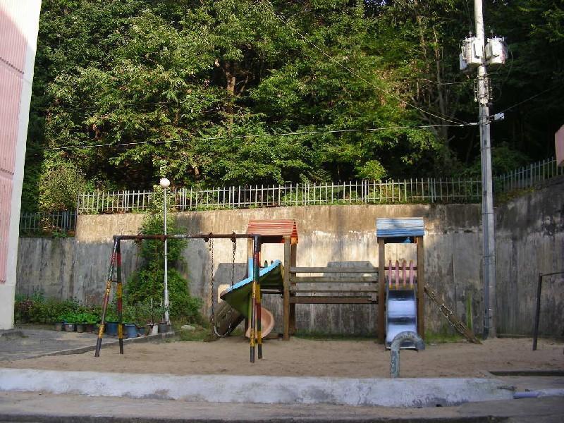 DSCN6061