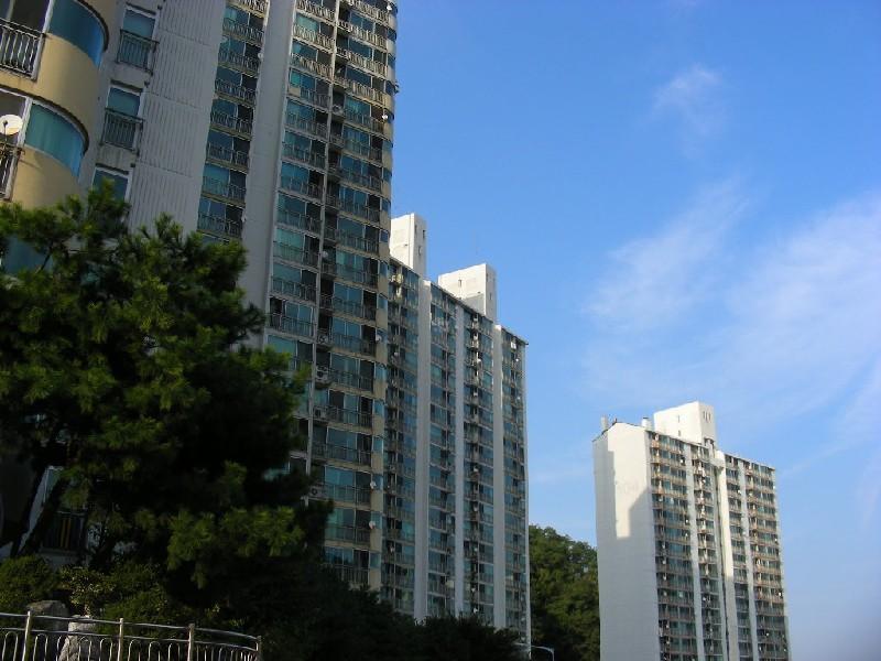 DSCN6048