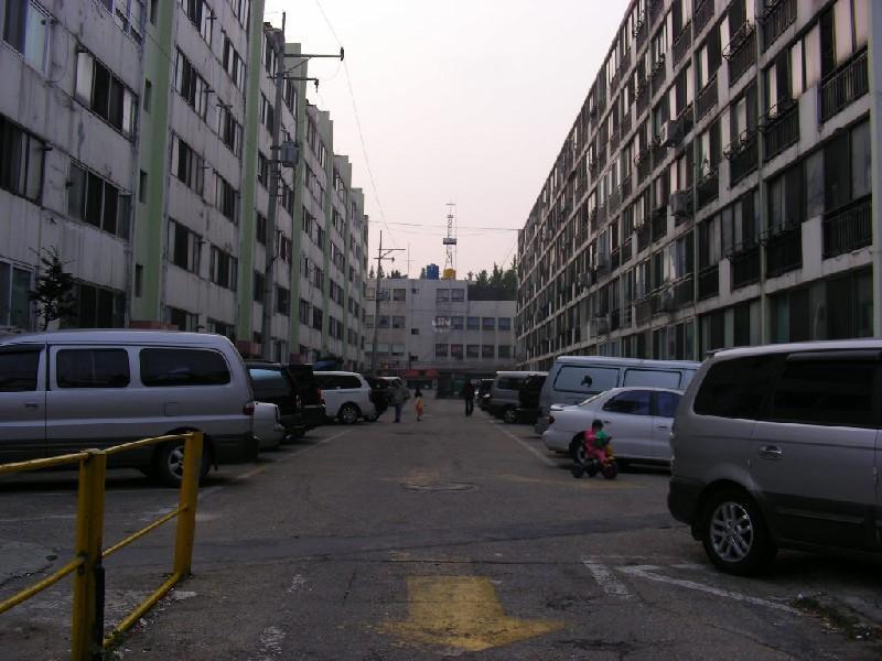DSCN7253
