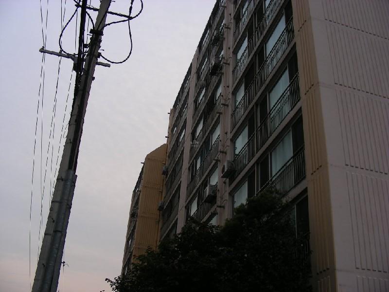 DSCN6702