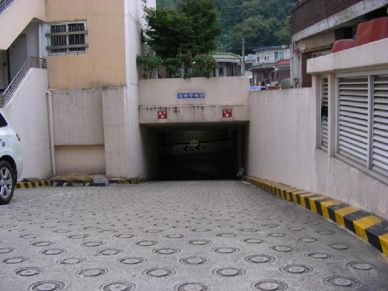 DSCN6700