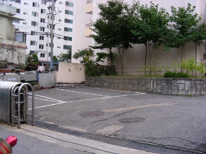 DSCN6704