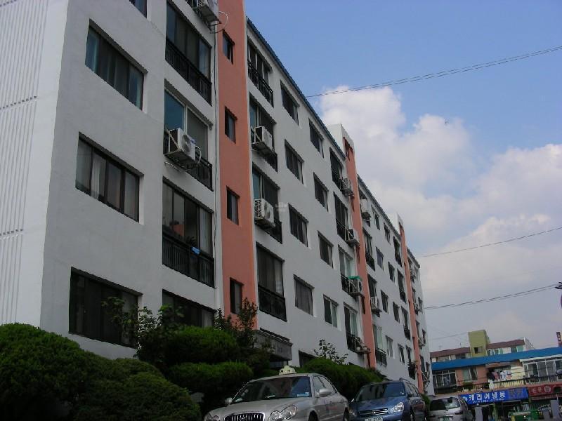 DSCN6208