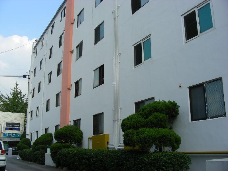 DSCN6210