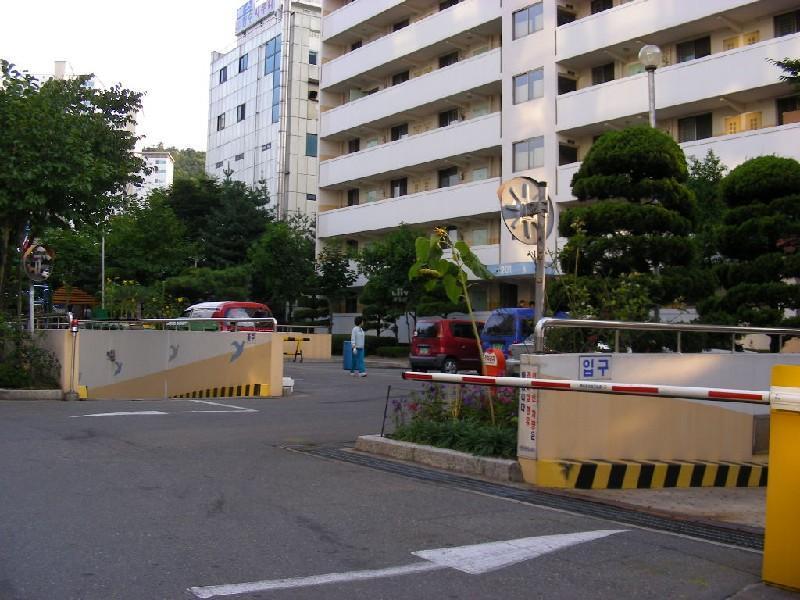 DSCN6096