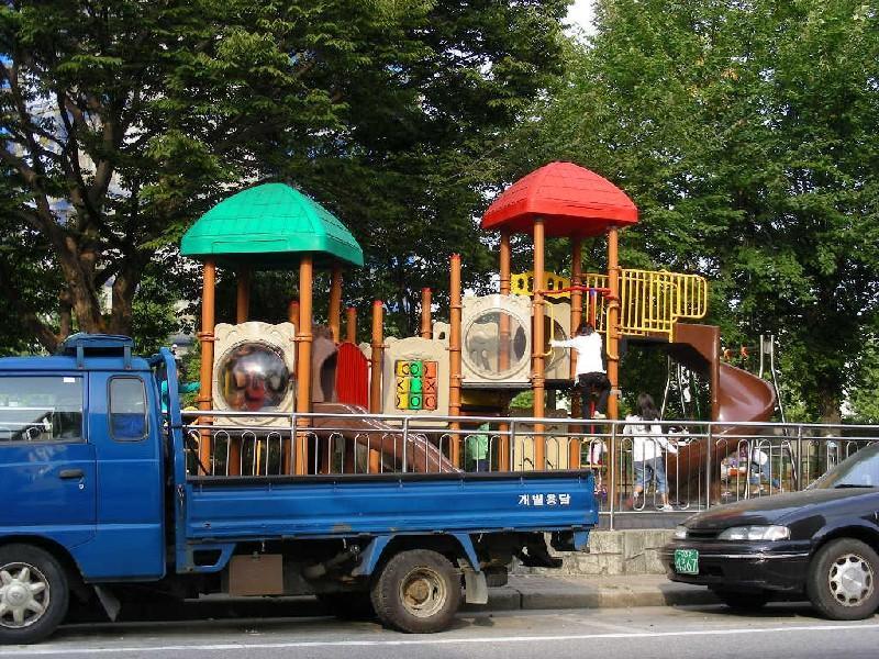 DSCN6546