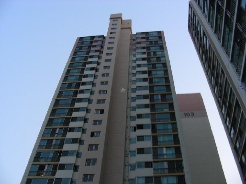 DSCN5840