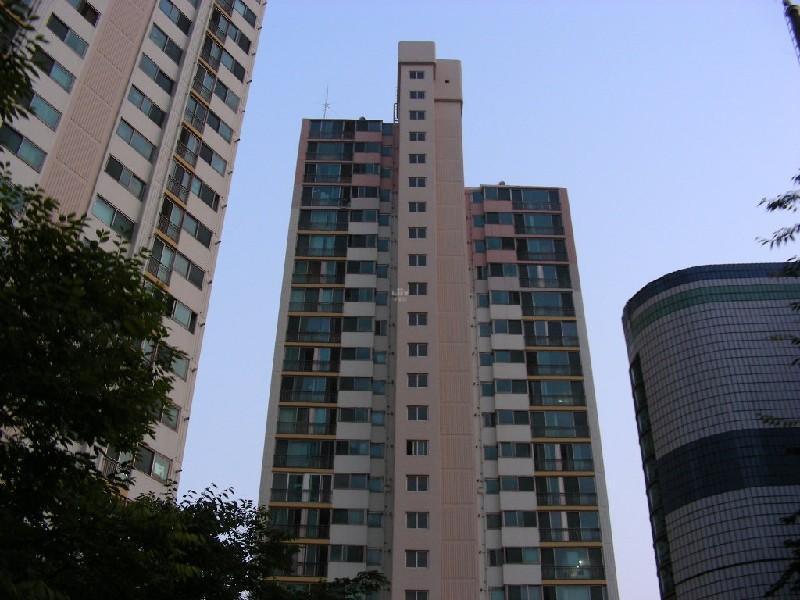 DSCN5845
