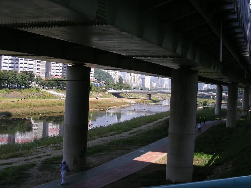 DSCN5895