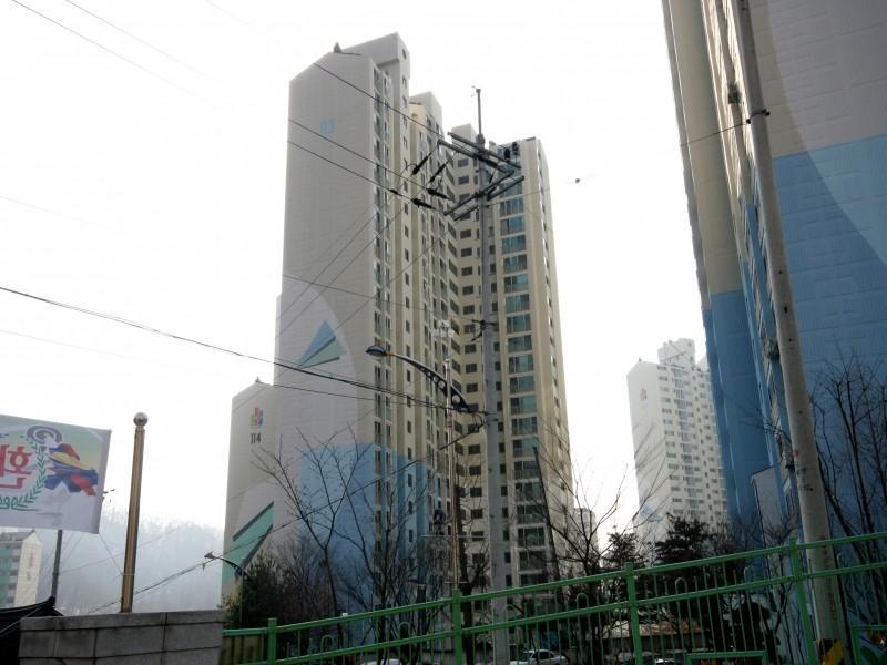 113동