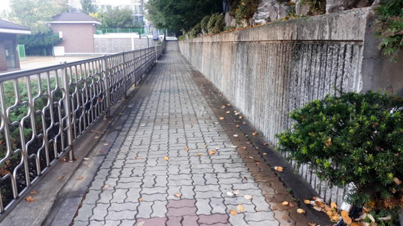 단지 내 보행로에요