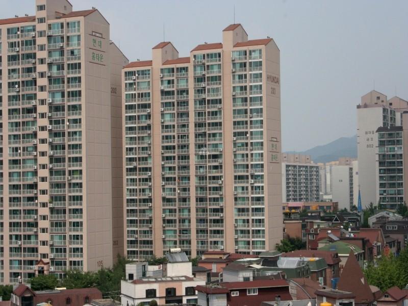 203동1